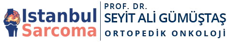 Prof. Dr. Seyit Ali Gümüştaş | Ortopedi ve Travmatoloji